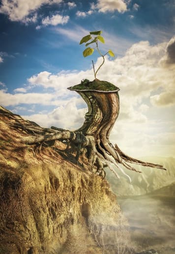 La Casa 3 en Piscis se siente atraída por los misterios