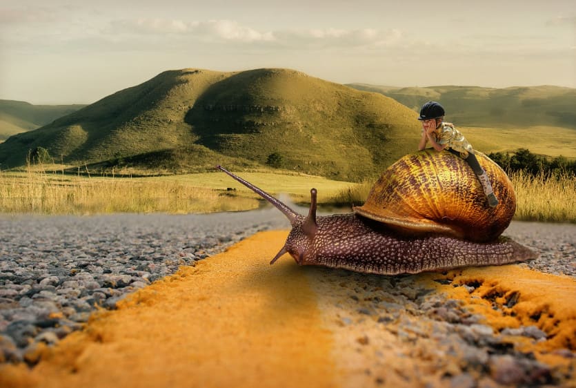 Mercury conjunction Saturn refers to a hard-working blend with an intelligent approach and a lot of knowledge