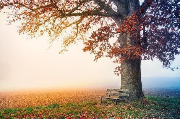 Sun in the 12th house during a Solar Return indicates a period of self-isolation to reflet