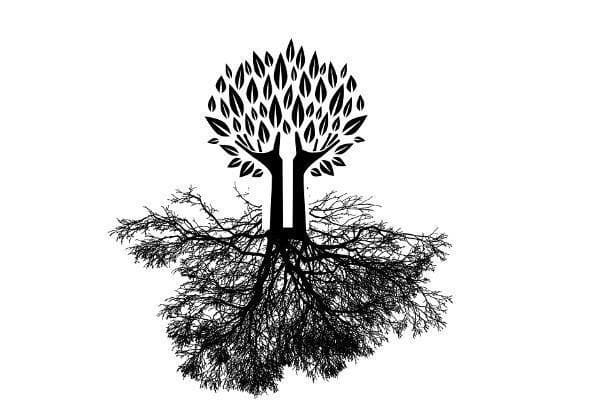 Sun in the 4th house indicates a period focusing in your own roots and family